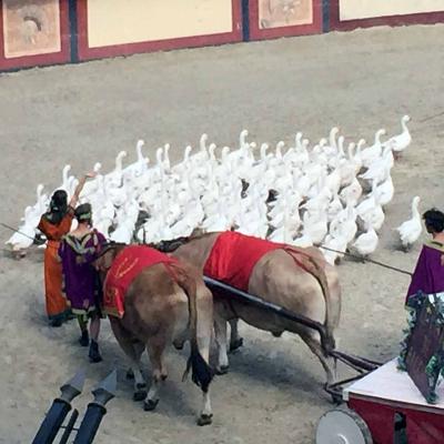 Le puy du fou002