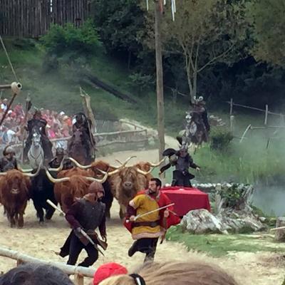 Le puy du fou009