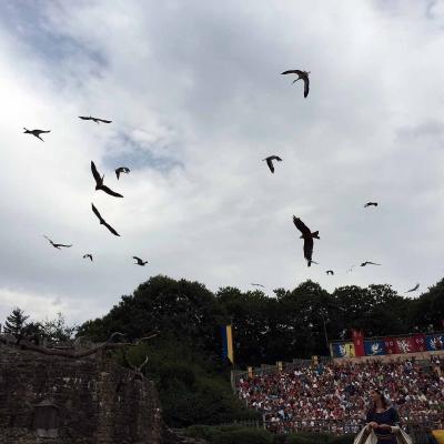 Le puy du fou013